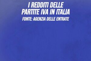 I redditi delle partite Iva
