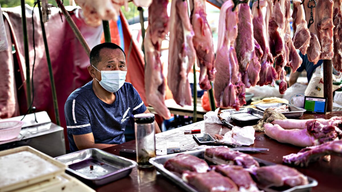 Le sequenze virali di Wuhan fatte sparire e il sospetto del legame con il laboratorio
