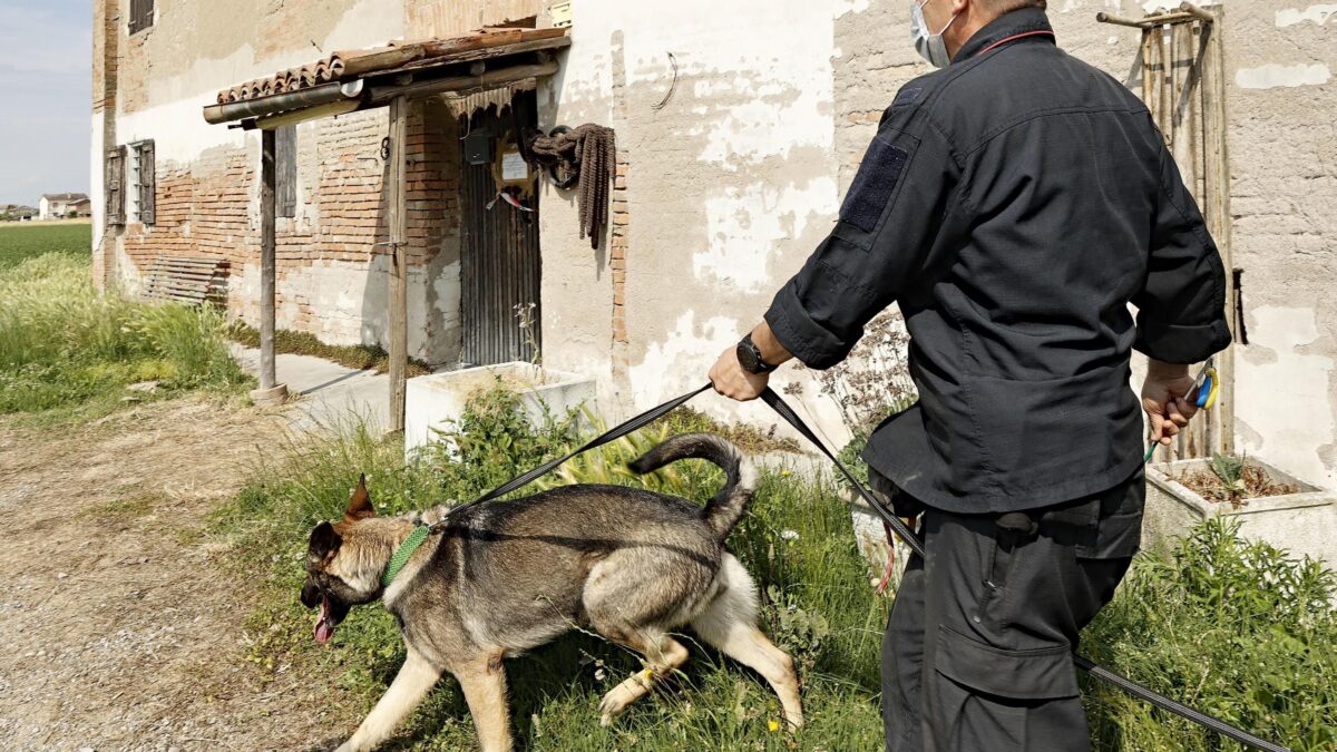 Un video e il fratello svelano l’orrore: «Saman consegnata allo zio e uccisa»