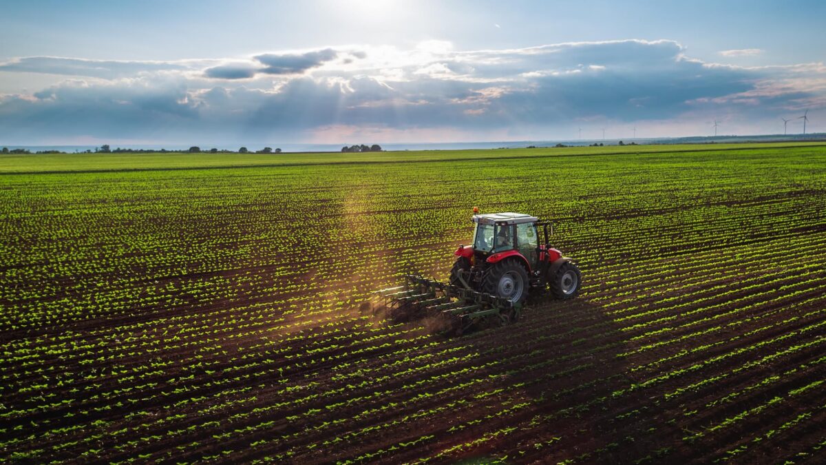 La nuova politica agricola della Ue dà all’Italia meno soldi e più rogne