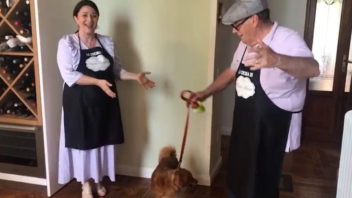 Le pillole di galateo di Petra e Carlo: l’etichetta per i cani