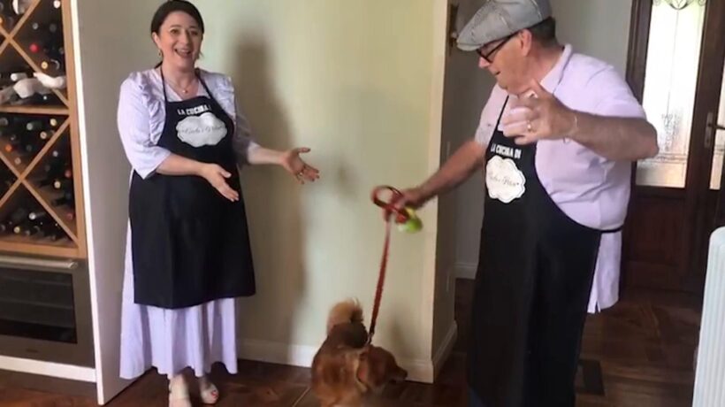 Le pillole di galateo di Petra e Carlo: l’etichetta per i cani