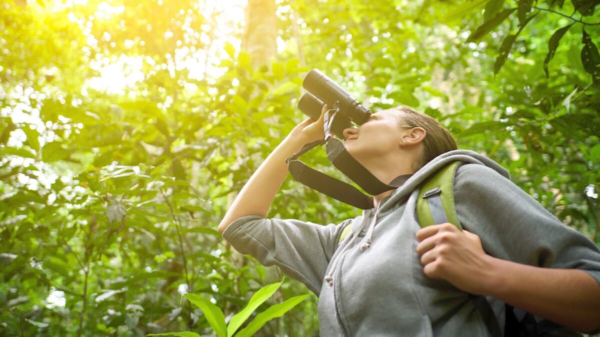 In Italia abbiamo 29 oasi in cui fare birdwatching