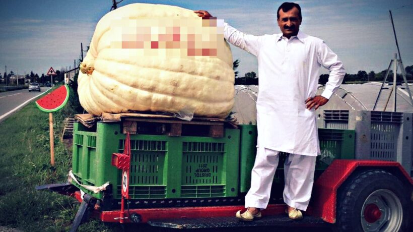 Il padre orco al fidanzato di Saman. «Lasciala o ti stermino la famiglia»