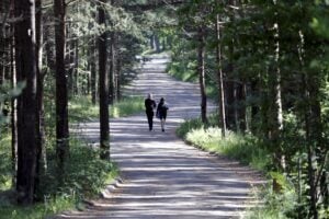 Abbiamo bisogno di più naturalisti eretici