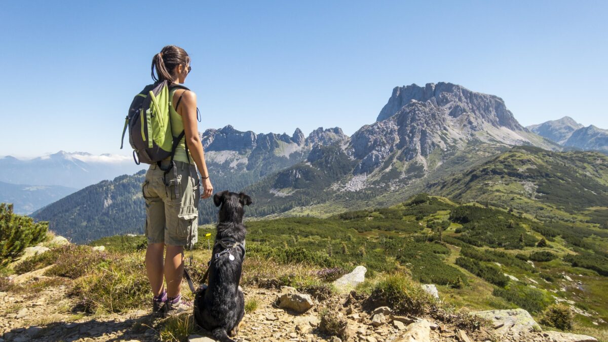 Il dog trekking, uno sport per affinare il rapporto cane-padrone