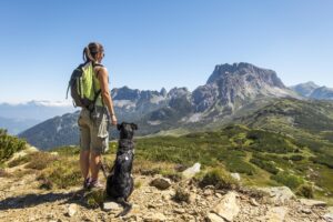 Il dog trekking, uno sport per affinare il rapporto cane-padrone