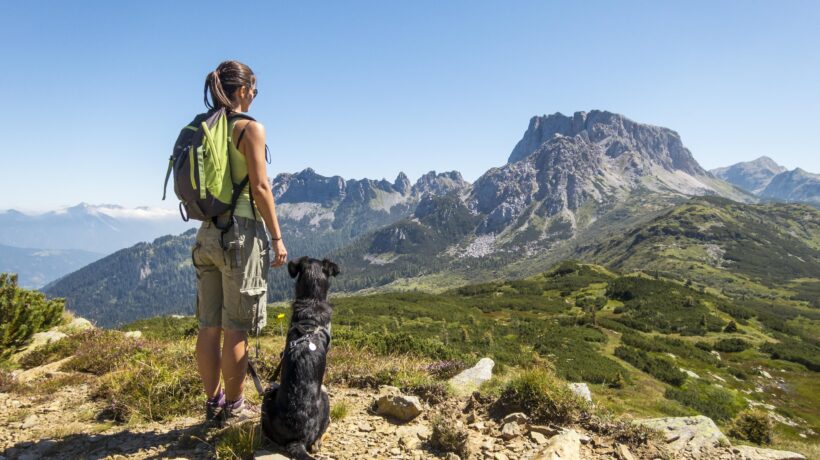 Il dog trekking, uno sport per affinare il rapporto cane-padrone