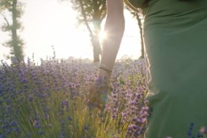 Italia al profumo di lavanda. Dove godersi i paesaggi più belli