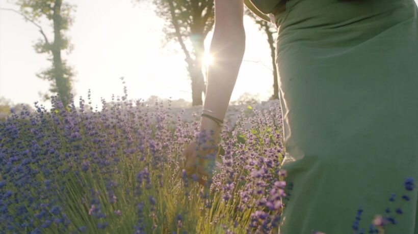 Italia al profumo di lavanda. Dove godersi i paesaggi più belli