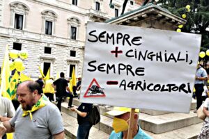 Mentre i cinghiali invadono le città tornano i referendum contro la caccia
