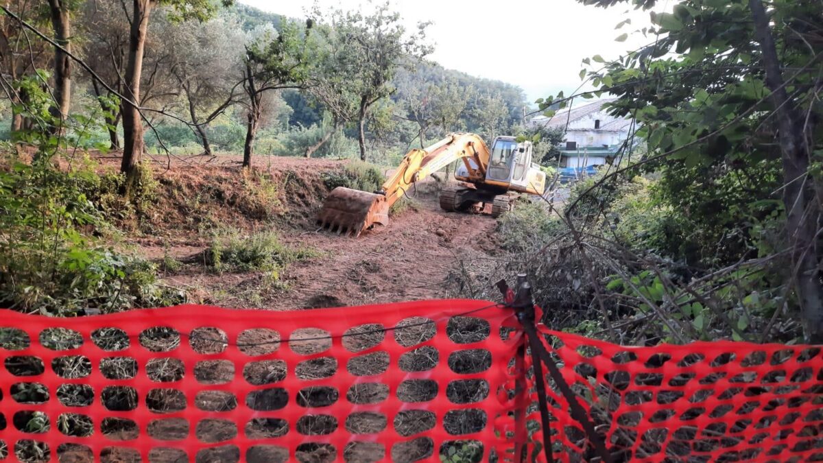 A Cava dei Tirreni il sindaco amico di De Luca sta devastando un bosco. E gli ambientalisti tacciono