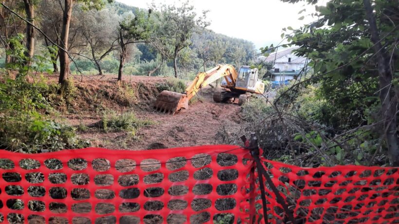 A Cava dei Tirreni il sindaco amico di De Luca sta devastando un bosco. E gli ambientalisti tacciono