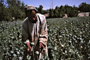 Metalli preziosi, droga e cemento. Il bilancio segreto dei miliziani