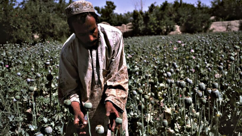 Metalli preziosi, droga e cemento. Il bilancio segreto dei miliziani