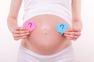 Sconti sulle surrogate per chi abbraccia l’ideologia gender