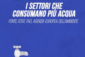 I settori che consumano più acqua