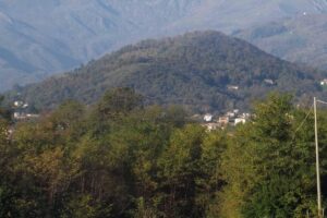 Un laghetto a Biella è incorniciato da sequoie giganti della California