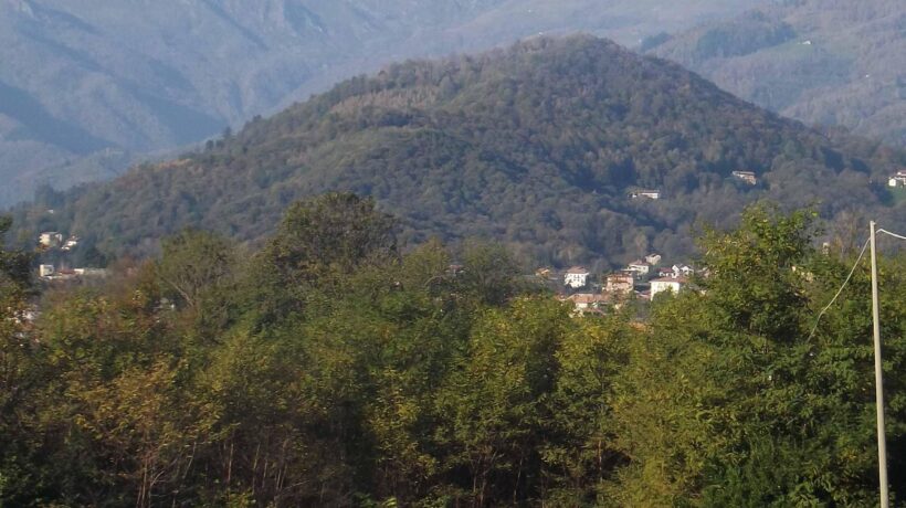 Un laghetto a Biella è incorniciato da sequoie giganti della California