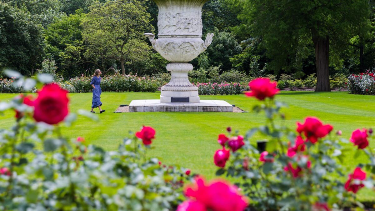 Il mago inglese delle rose da giardino grazie alla genetica ha creato 200 varietà