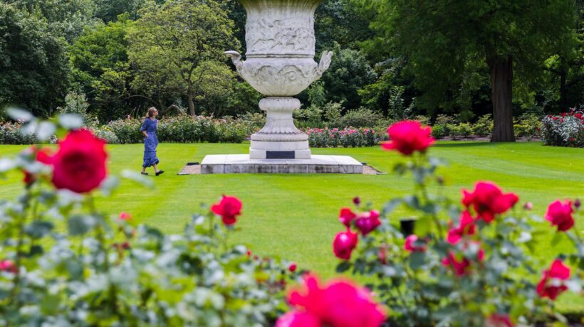 Il mago inglese delle rose da giardino grazie alla genetica ha creato 200 varietà
