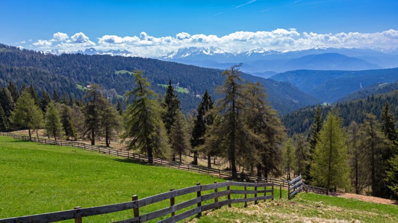 iStock