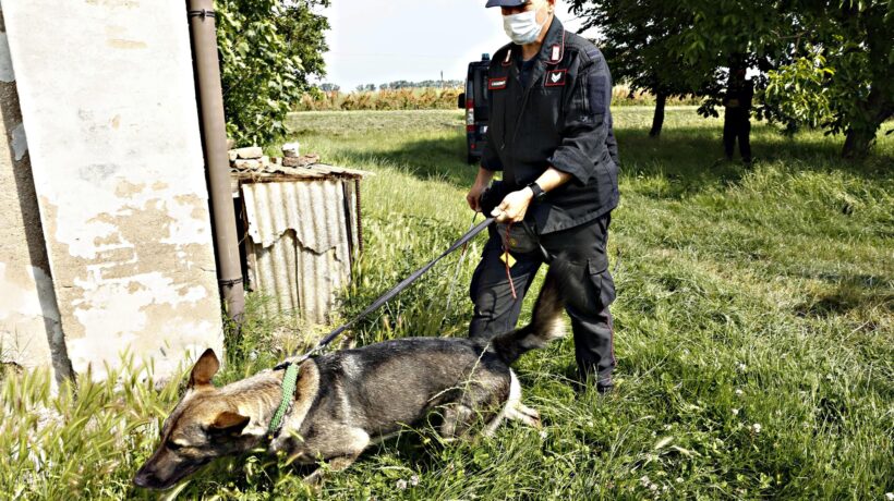 La soluzione del giallo dei 6 minuti: per Saman la fossa era già pronta