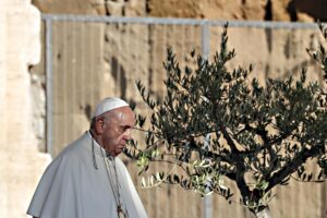 Con la scusa della lotta ai pedofili riscrivono la dottrina della Chiesa
