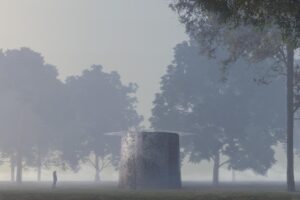 Nato in Giappone, perfetto qui da noi. Facciamoci un «bagno di foresta»