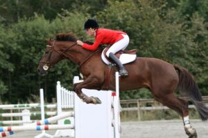 Tirano gli sport equestri: 25% in più di cavalli e fantini rispetto al 2020