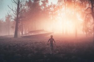 Gli Ufo visti da destra: ideologia e politica degli extraterrestri