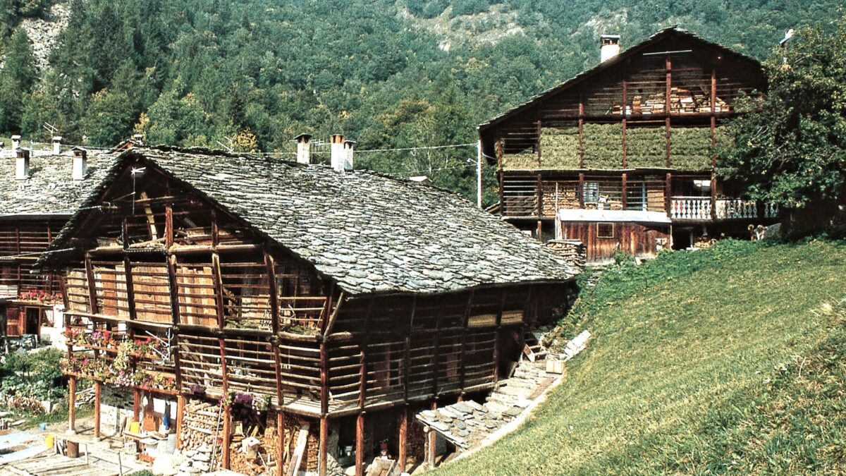 Costruire, muoversi, arredare, uccidere. Quando con la legna si faceva di tutto