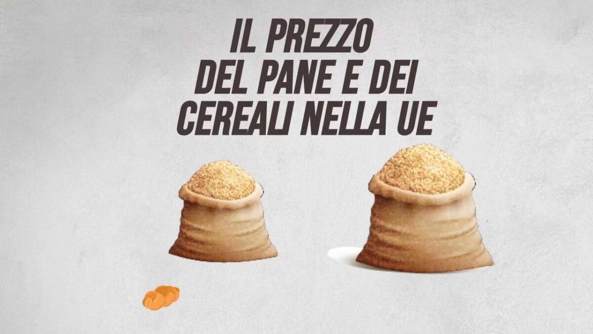 Il prezzo del pane e dei cereali nella Ue