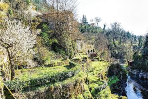 Foreste, boschi e terme: quando viaggiare è terapeutico