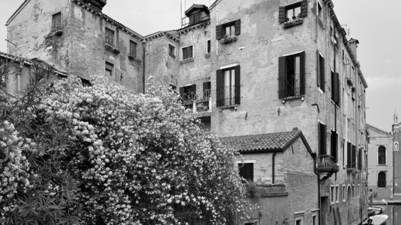 HyperVenezia a Palazzo Grassi