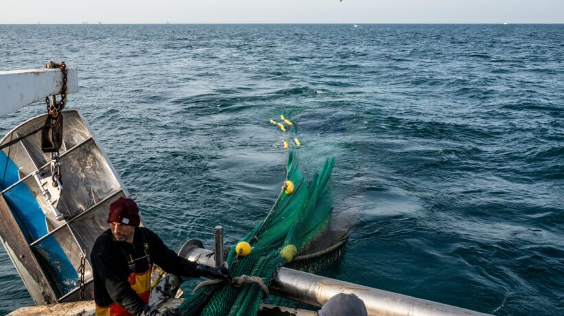 Giapponesi a caccia nel nostro mare. Pescherecci italiani tirati in secca
