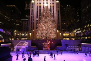 Vero o disegnato: finché l’albero non c’è, il Natale non arriva