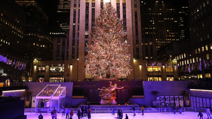 Vero o disegnato: finché l’albero non c’è, il Natale non arriva