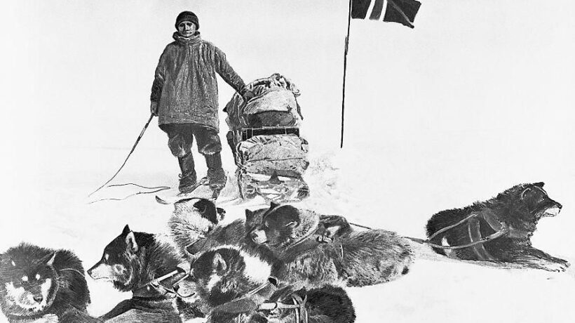 Un membro della spedizione Amundsen al Polo Sud con i cani da slitta (Getty Images)