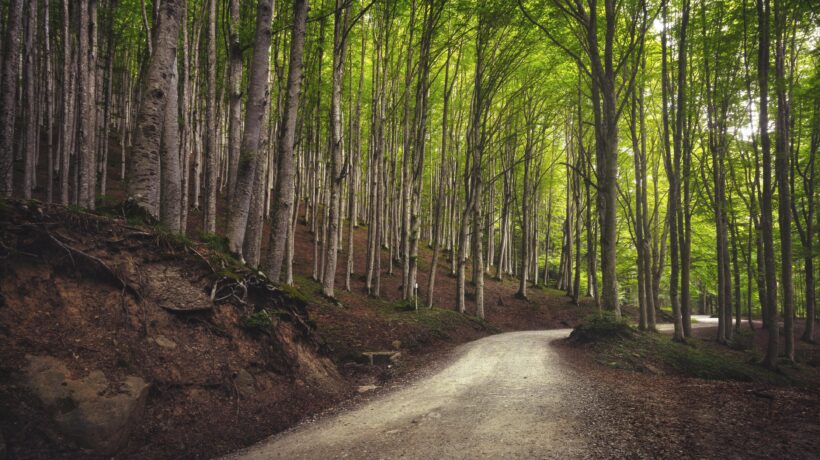 Camaldoli (iStock)