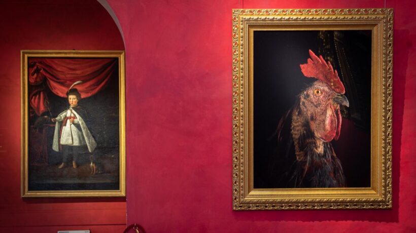 Koen Vanmechelen alla Galleria degli Uffizi
