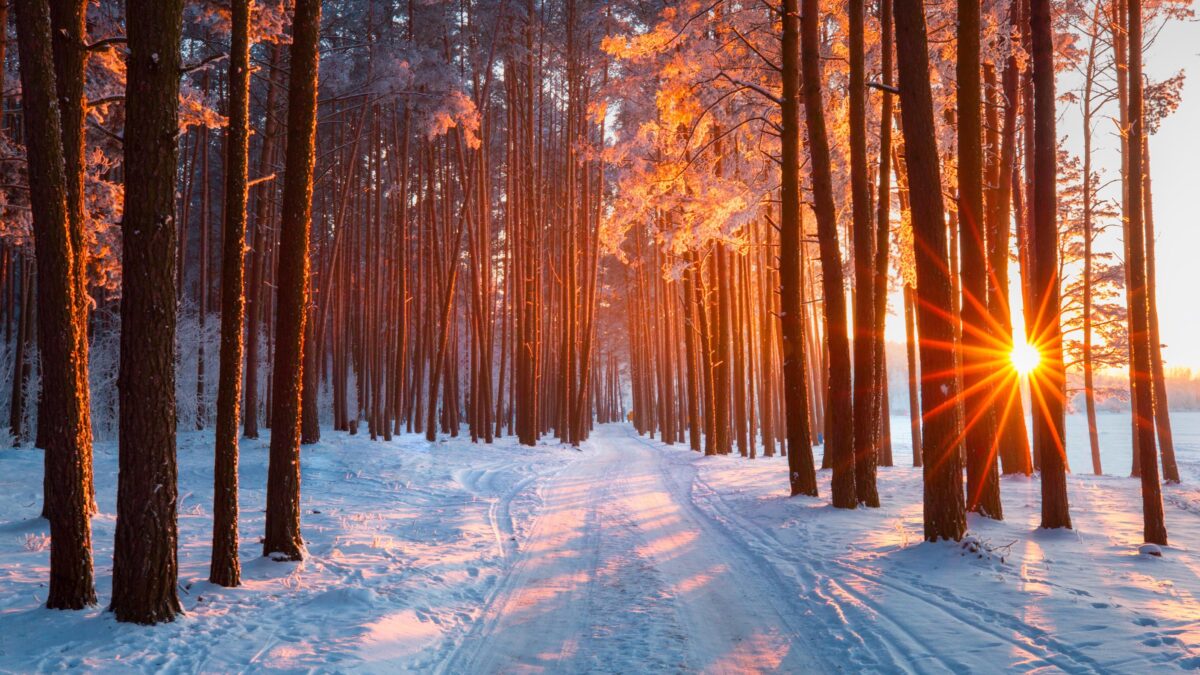 Il respiro dell’alba innevata ci riporta a casa