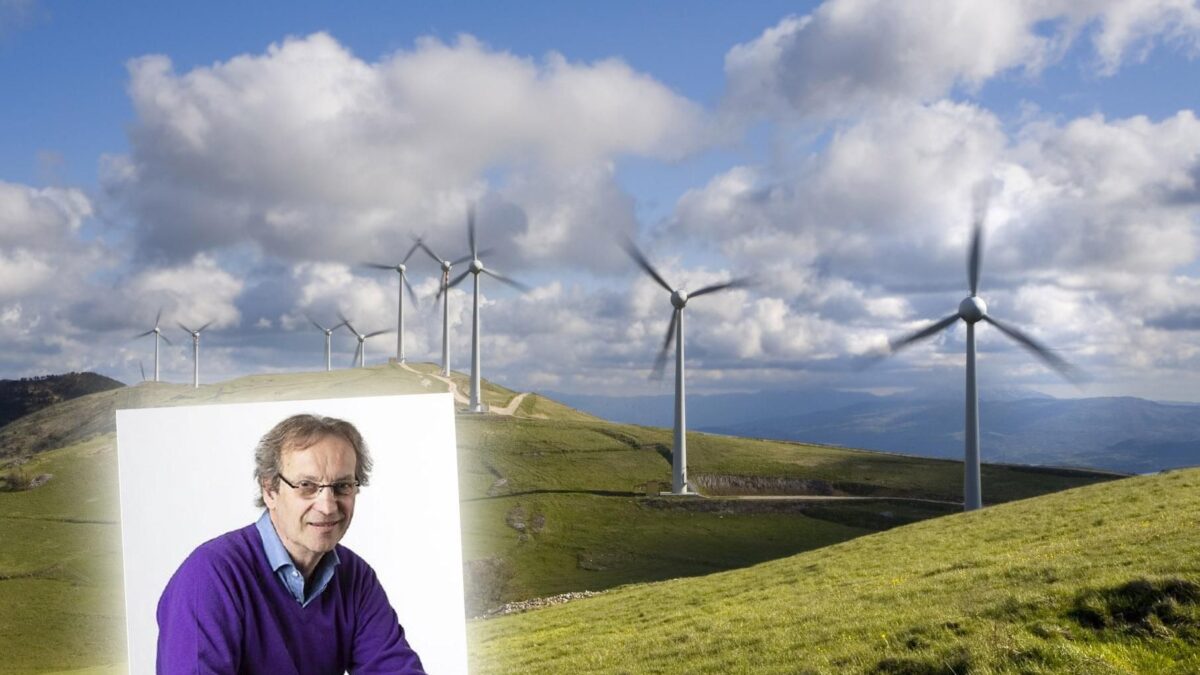 «Il costo ambientale del green è salatissimo»