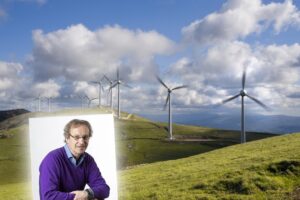 «Il costo ambientale del green è salatissimo»