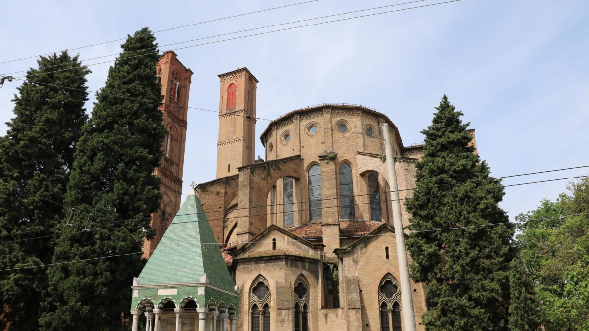 Compagni di movida o oggetti di studio. Bologna ha platani per ogni occasione