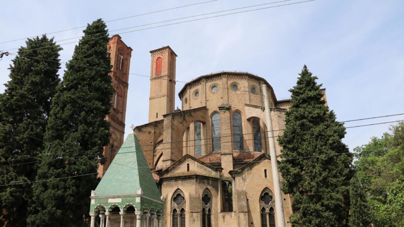 Compagni di movida o oggetti di studio. Bologna ha platani per ogni occasione