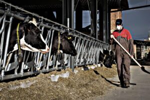 Metà del Pil italiano può diventare fuorilegge