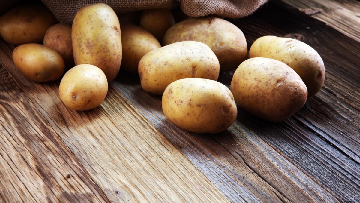 La patata, il «veleno» che sconfisse la fame