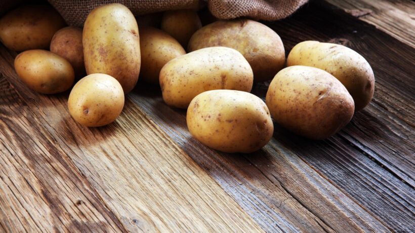 La patata, il «veleno» che sconfisse la fame