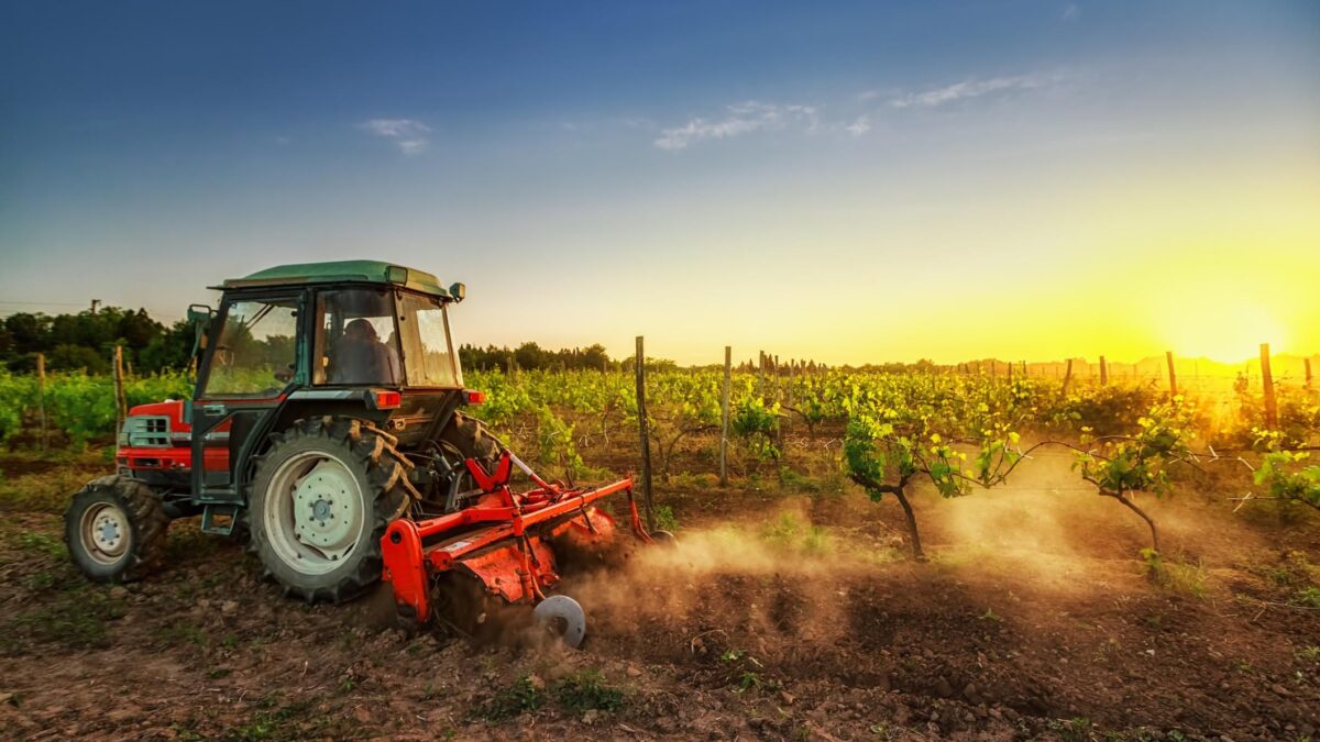 Mannaia dell’Europa sull’agricoltura. In nome del «green» avremo la fame